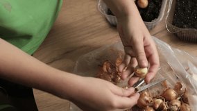 A child in a green shirt uses a spray bottle to water onions in a recycled plastic tray. This activity reflects Montessori principles of hands-on learning, focusing on sustainability and eco-friendly - Powered by Shutterstock - Get 15% off with code: PIKWIZARD15