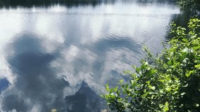  forest landscapes, forest, wilderness, plants, natural landscapes, nature, night, abstract nature, mountains, sunbeams,, clearing, sunbeam - Powered by Shutterstock - Get 15% off with code: PIKWIZARD15