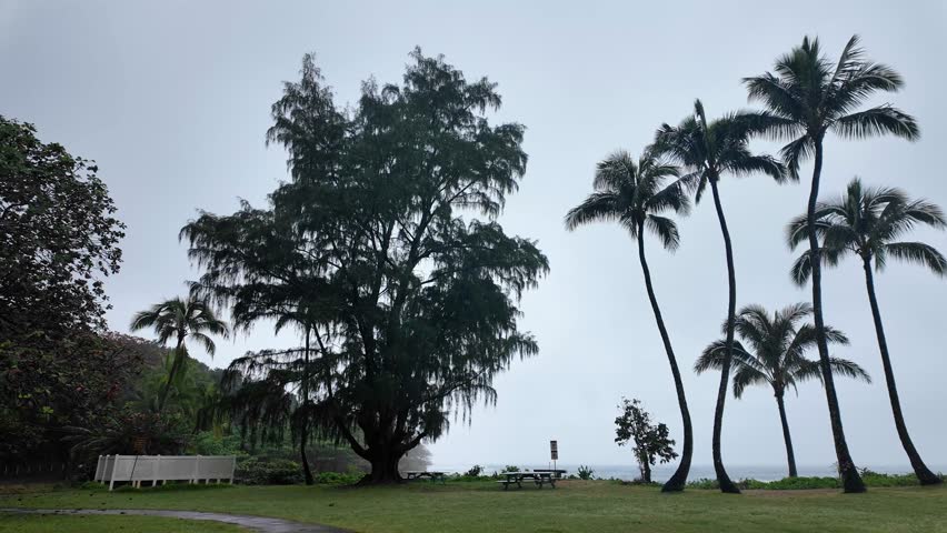Haena Beach Park, Kauai US, a beautiful sandy Haena Beach at Haena Beach Park on the North Shore of Kauai, Hawaii on a cloudy foggy day, popular snorkeling spot, Na Pali Coast in the back