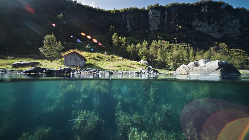 A split view shows a cozy cabin on the rocky shore of Geiranger Fjord and lush aquatic plants in the water below.