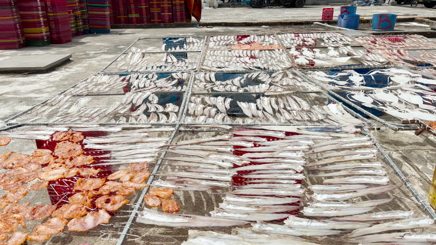 The camera moves to show many fish laid out on nets at a street market