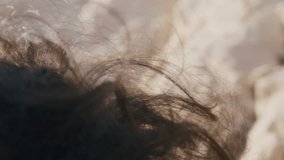 Brown curly hair blowing in the wind on a beach, Marseille, France - Powered by Shutterstock - Get 15% off with code: PIKWIZARD15