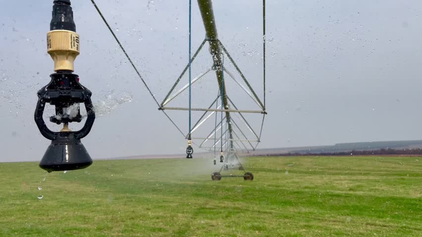 irrigation system on pasture livestock. Detail for water drop