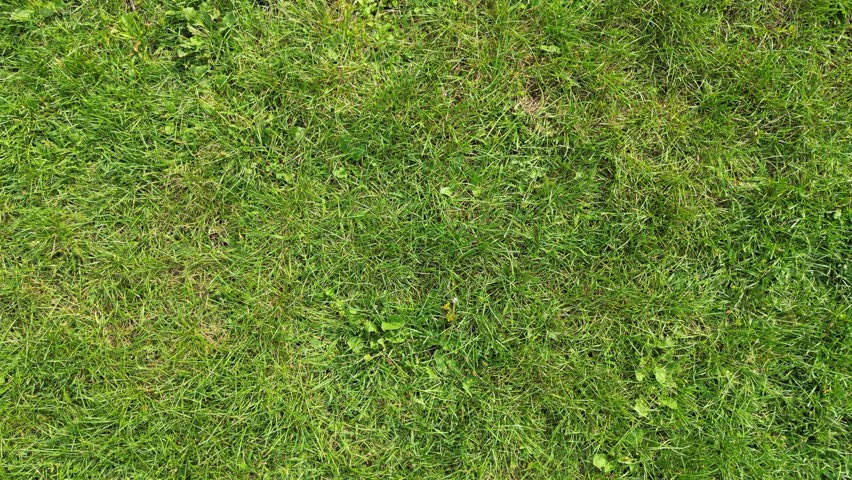 
Tabaret Lawn is a large green space on the campus of the University of Ottawa. It