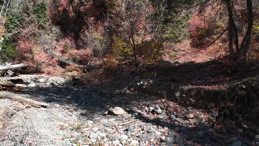 Aerial dry river logs rocks autumn season 1 Utah. Seasonal river from alpine towering mountains wilderness area. Autumn fall colors. Rock and forest environment landscape of Utah. Wasatch Mountains.