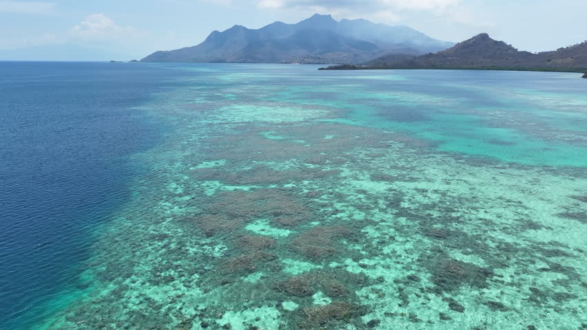 A beautiful and healthy coral reef surrounds a volcanic island off the coast of Flores, Indonesia. This area, in the Lesser Sunda Islands, is known for its high marine biodiversity.