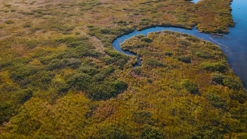 Rising drone shot over wetlands in dawn light