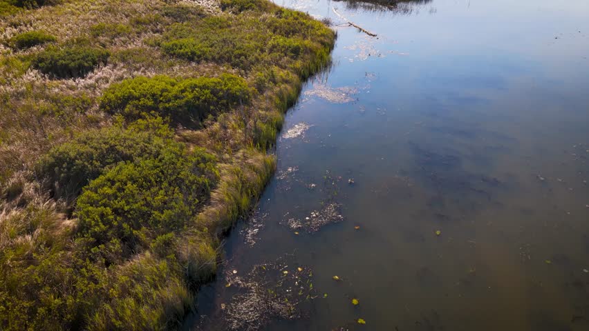 Rising drone shot over wetlands in dawn light