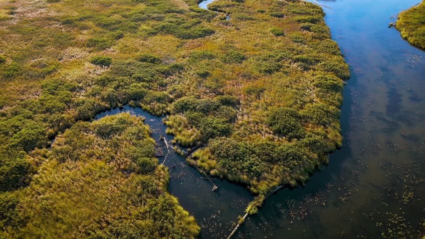 Rising drone shot over wetlands in dawn light