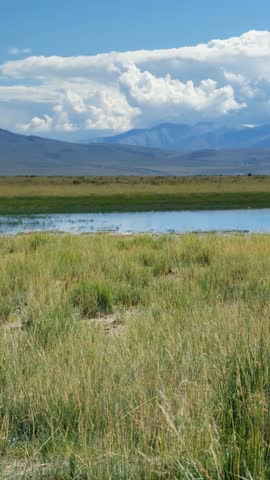 Vertical video of Altai natural landscape in the Chuya steppe. In the foreground is a steppe. In the lake reflection of mountains, sky and clouds. In the background mountains of Kurai mountain range