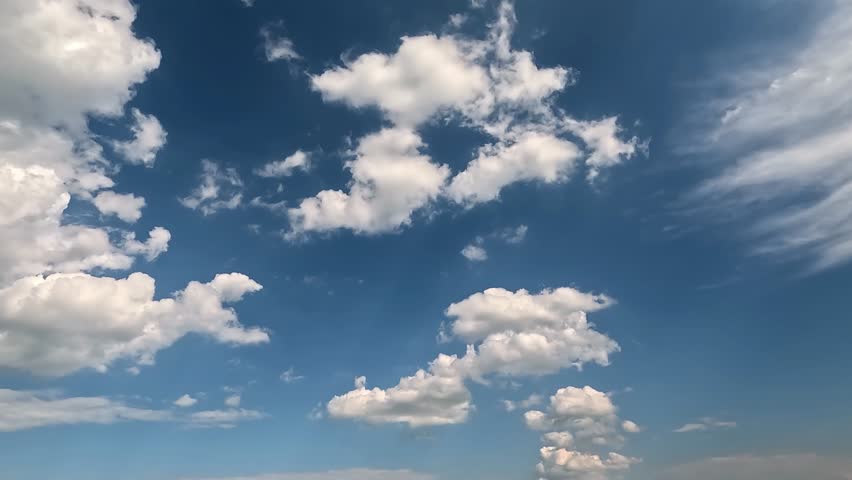 Shutterstock Video