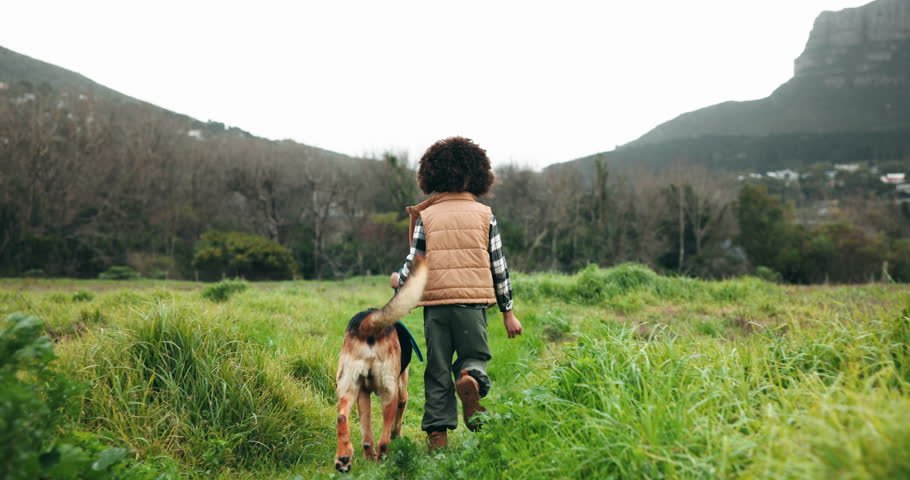 Running, fresh air and child with dog, outdoor and peace on holiday, mountain and bonding with pet. Travel, wellness and boy in weekend, back and tourist with animal, playing and kid in California