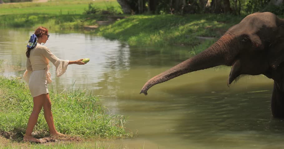 A woman feeds a mango to an elephant by the water in Tissamaharama, Sri Lanka. This heartwarming scene captures the bond between humans and wildlife, highlighting the region's natural beauty and