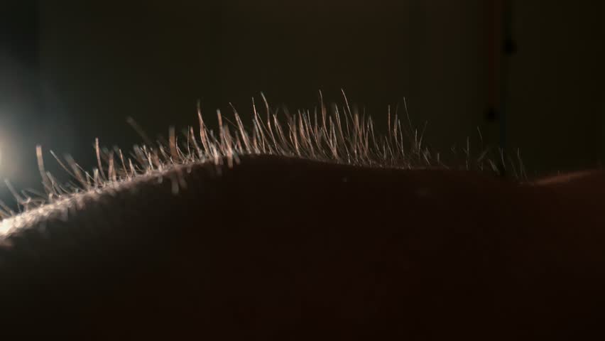 Macro shot of Hair Standing on End Against a Dark Background