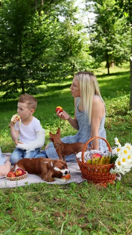 Family picnic in park on weekend. Mom sits next to her son, chats, eats fruits during picnic. Dog eats an apple with pleasure. Concept of family recreation, family values, snack in nature. Vertical.