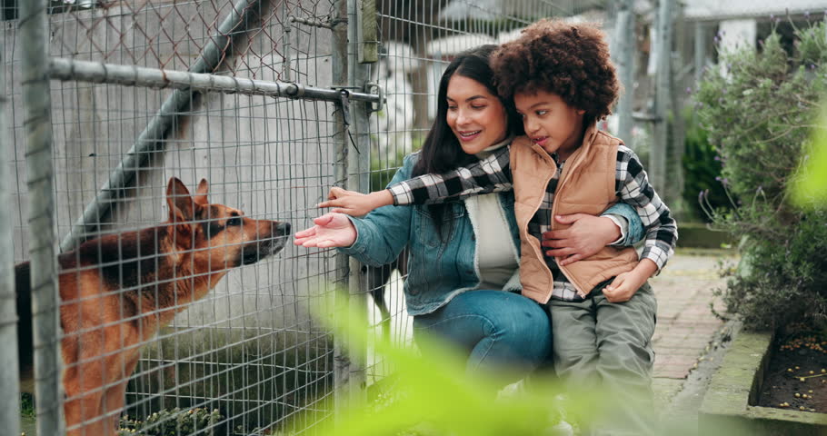 Mother, boy and dog at shelter for adoption, search and outdoor with check for homeless pet. Child, mom and hug with smile by fence, kindness and family with abandoned German shepherd in Colombia