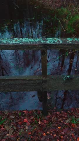 Late autumn landscape vertical video. Raindrops fall on dark water surface. Small bridge with mossy wooden railings and covered by fallen leaves ground. Hiking in nature park on rainy november day