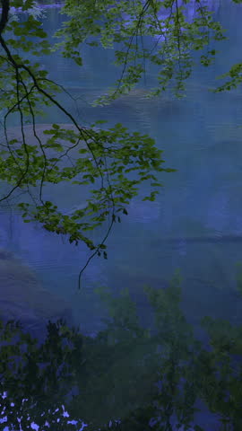A Serene Reflection of Natures Beautiful Colors in the Calm and Still Water Surface
