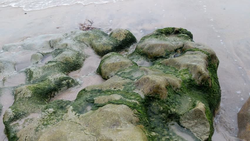 Southern California Encinitas coastline. Waves, surfers, beaches, tide pools, palm trees, sunsets and rock abstractions! 
