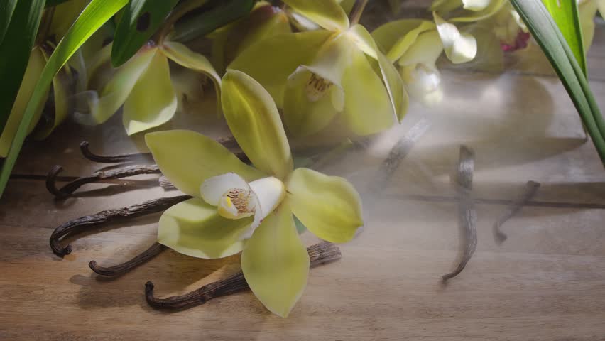Vanilla orchid flower with vanilla sticks on a vintage wooden table with green leaves in the background. Vanilla gives off a "scent" in the form of small smoke clouds. Slow panoramic camera movement.