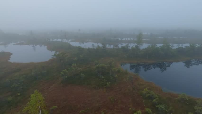 Amazing Latvia nature scenery view 