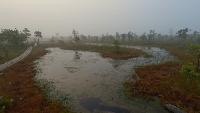 Amazing Latvia nature scenery view 
