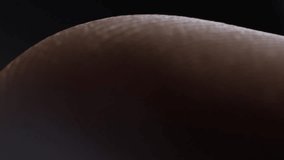 Fingerprint extremely detailed close up. On black background with high contrast. Sweat glands visible - Powered by Shutterstock - Get 15% off with code: PIKWIZARD15