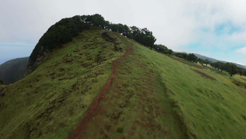 Aerial fpv video over Madeira panel forest, Portugal
