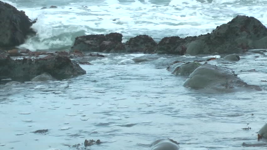 Tide pools on the Oregon coast