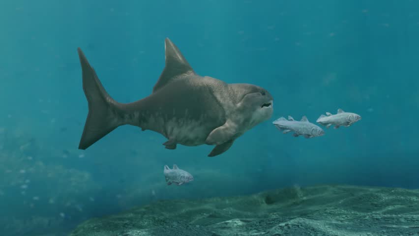 Prehistoric Giant Fish Dunkleosteus Animation. Dunkleosteus is a large extinct placoderm fish from the Devonian Period 382–358 million years ago.