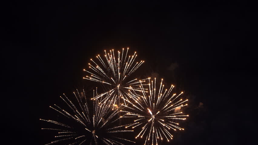 Fireworks at the International Fireworks Festival
