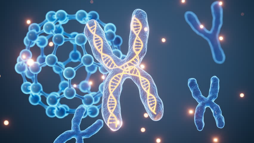 Human genes and chromosomes, 3d rendering. Motion Graphic.