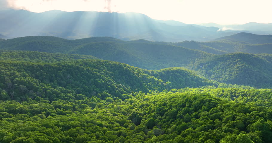 Evening landscape in Appalachian mountains. Woods nature in summer season. Colorful forest in Tennessee