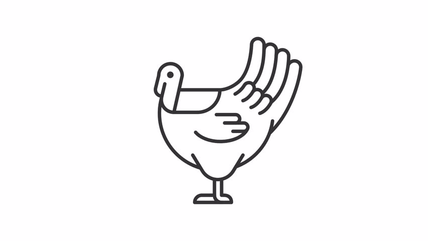 Animated turkey icon. Farming animal line animation. Moving bird, shaking feathers. Wildlife, livestock. Black illustration on white background. HD video with alpha channel. Motion graphic