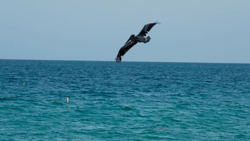 Miami Florida USA Ocean Brickell Sunny Isles Beach