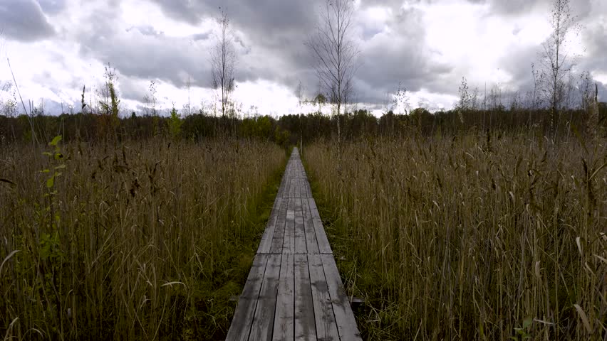 A straight wooden pathway cuts through a marshland on the Rakovyye Ozyora ecological trail, with tall grasses and cloudy skies setting a serene and slightly moody atmosphere. The photo, taken from a