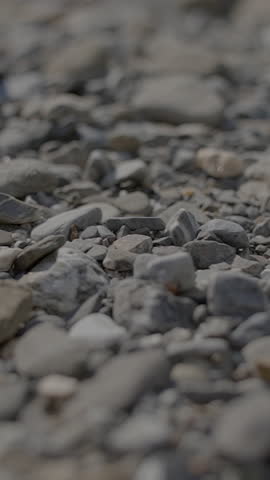 This image shows a closeup of pebbles on a natural surface, highlighting their unique textures