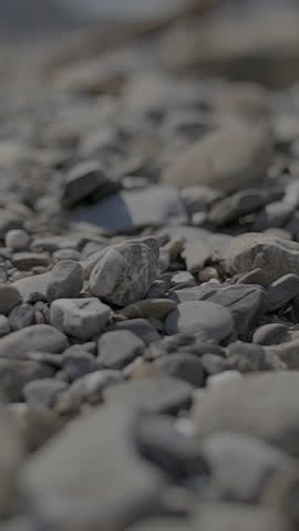 This image shows a closeup of pebbles on a natural surface, highlighting their unique textures