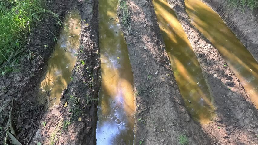 Off-road. Forest road after rain