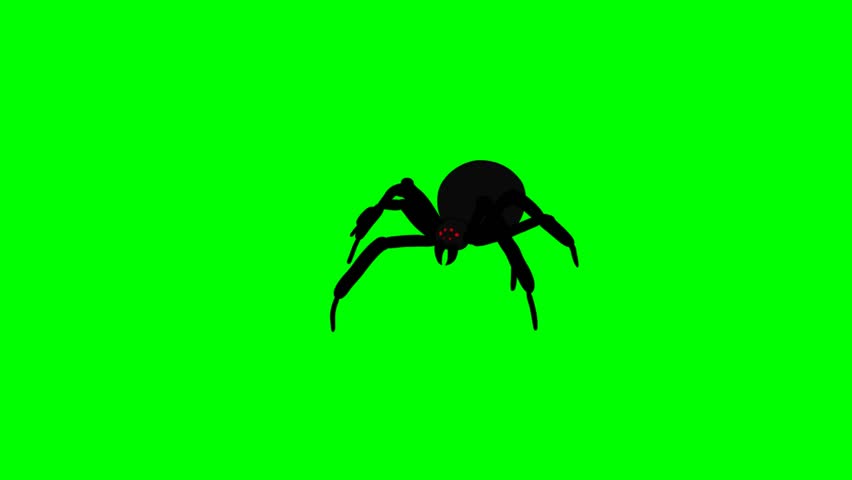 Spider silhouette with detailed legs on green screen background for visual effects and keying
