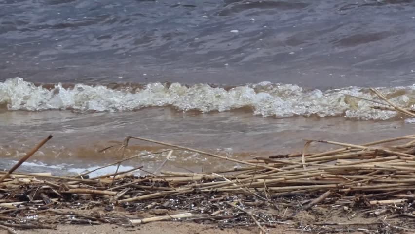 Lake Baltezers in early spring