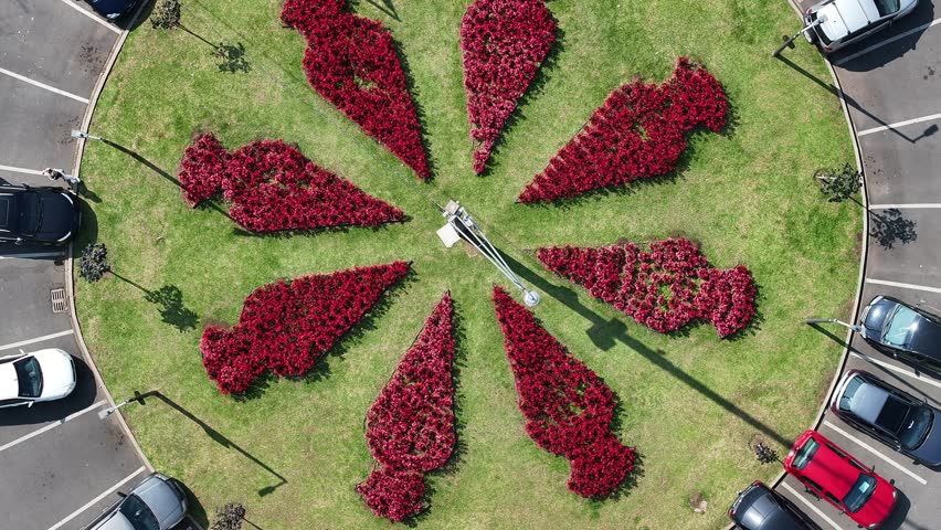 Botany Garden At Curitiba Parana Brazil. Famous Botanical Garden Showing The Around The City. Industrial Skyline Panoramic City View Beautiful. Industrial Flyover Business. Curitiba Parana.