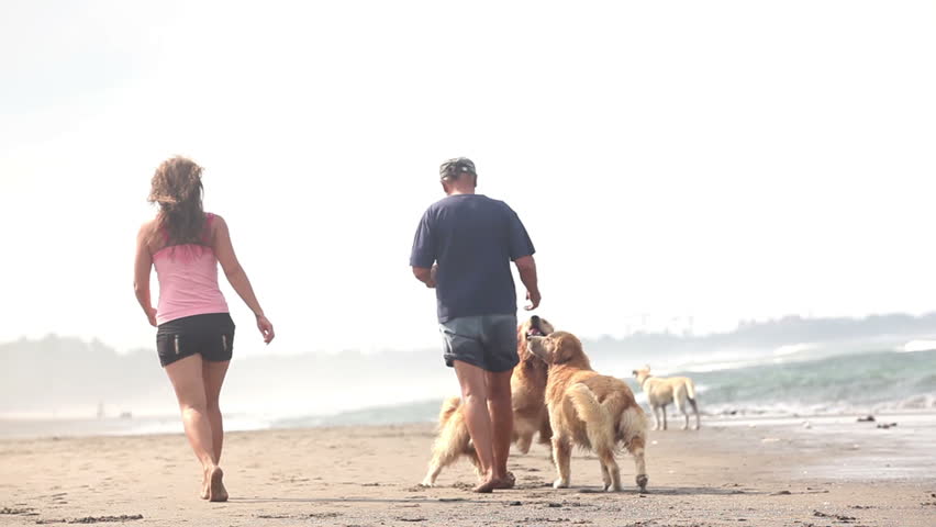 Cheerful couple walking with dogs at beach