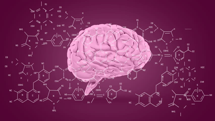 Animation of data processing and chemical formula over brain. Global science and digital interface concept digitally generated video.