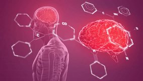 Animation of chemical formula over digital human and brain. Global science and digital interface concept digitally generated video. - Powered by Shutterstock - Get 15% off with code: PIKWIZARD15