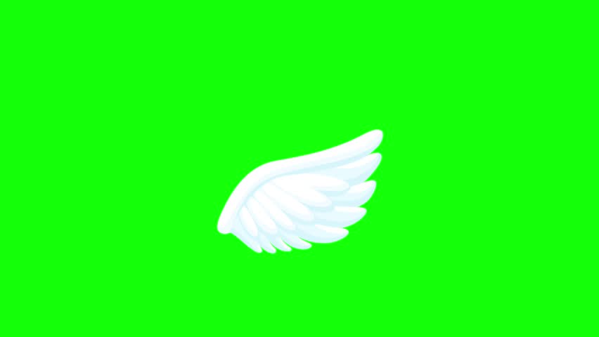 Shutterstock Video