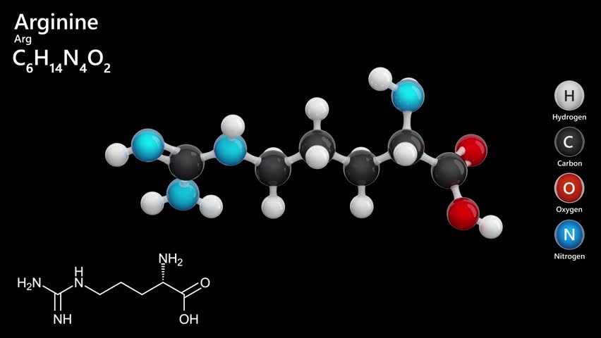 Molecule of Arginine (C6H14N4O2), is a semi-essential amino acid with a positively charged guanidinium group. Arginine supports immune function, hormone secretion. White back. 3D render.