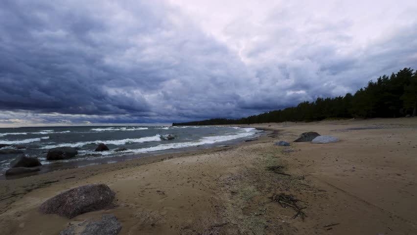 A tranquil sandy beach stretches along the coastline, with waves gently hitting the shore under a dramatic, cloudy sky. The backdrop of a dense forest creates a contrast between the peaceful seashore