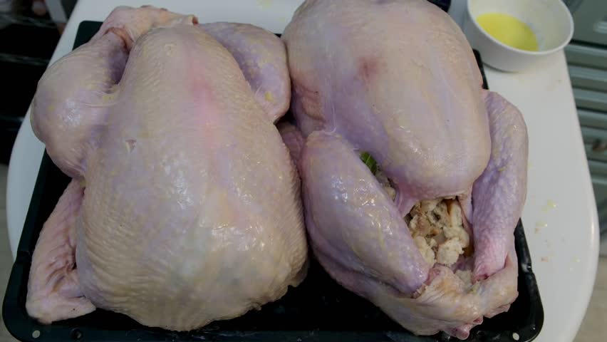 Hand putting foil to cover the stuffing in a raw turkey before roasting. Meal preparation. Thanksgiving or Christmas turkey. Two turkeys