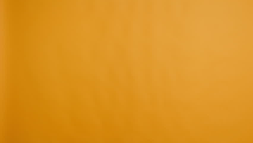 African american woman with shopping bags being followed with her husband, buying clothes on sale in studio. Worried nervous man feeling anxious about spending money. Camera B.